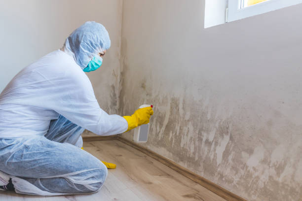 Licensed Commercial Mold Remediation service in Fountain, NC - WQB Mold Removal