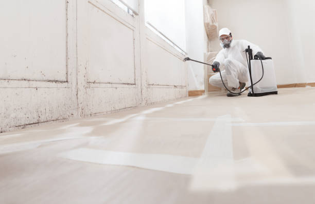 24/7 Emergency Commercial Mold Remediation experts in Fountain, NC