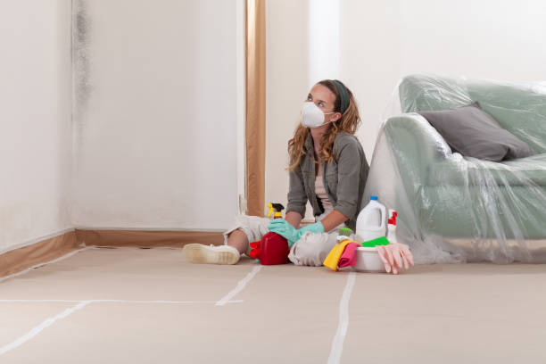 Reliable Commercial Mold Remediation contractor in Fountain, NC by WQB Mold Removal